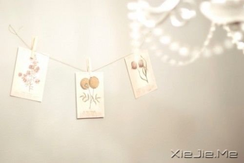 晚安心语:期待,是所有心痛的根源 (5)