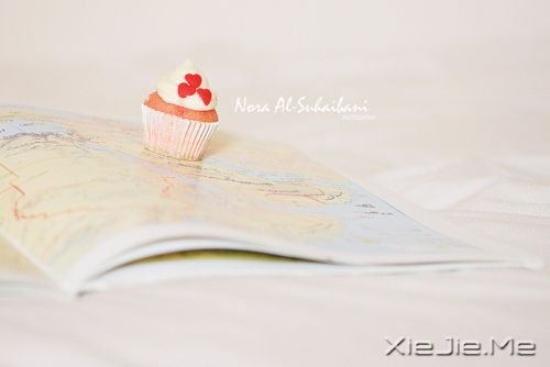 晚安心语:那些单独飞翔的人拥有最强大的翅膀 (5)