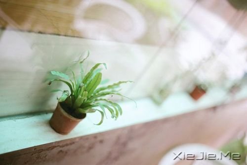 �簲�����ʼΪ�������æ������æ���������� (4)