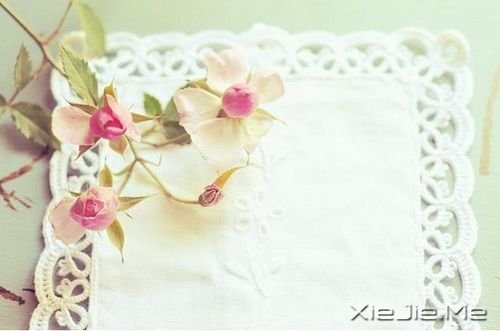 С����ͼƬ (8)