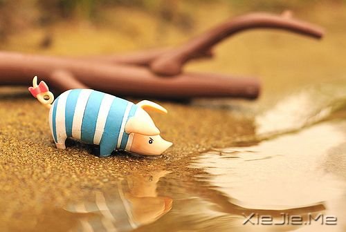 С����ͼƬ (4)