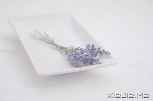 ˯�����տ��ϣ���ʹ��ɥ��Ҳ���泯���� (7)