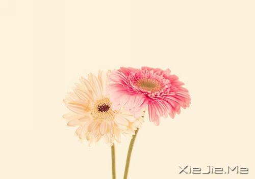 ˯�����տ��ϣ���ʹ��ɥ��Ҳ���泯���� (10)