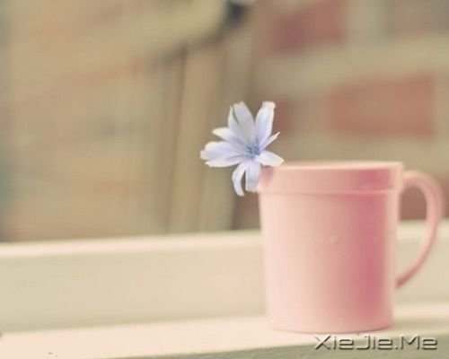 我们都一样,各自有光芒 (2)