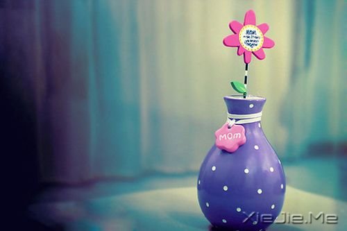 С����ͼƬ (8)