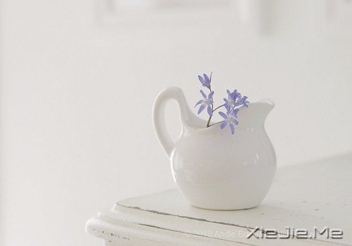 早安心语:记得带上自己的阳光 (3)