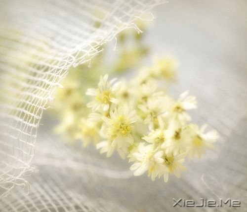 晚安心语:幸福的人在哪儿都幸福 (4)