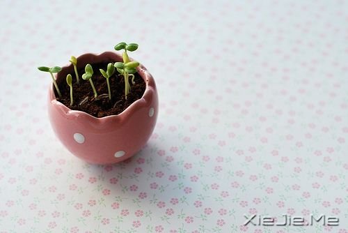 晚安心语:幸福的人在哪儿都幸福 (7)