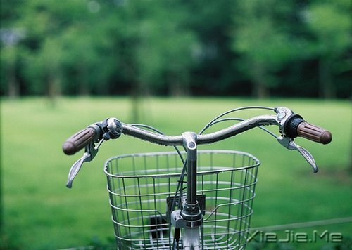 经典语录:一个人的天荒地老 (6)