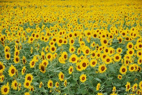 һ�������ˣ�����ȥԶ�� (3)