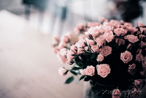 只要你愿意爱,妈妈就是你背后的世界