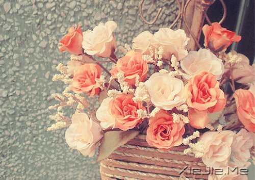 ���֣��������۾�