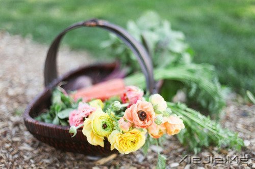 ����������᳤��һ�仨