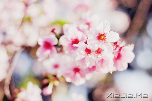 2014,用12个月来改变自己 (9)