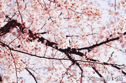 2014,用12个月来改变自己 (8)