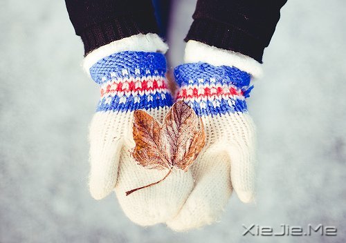 2014�����Լ���ʮ�仰 (6)