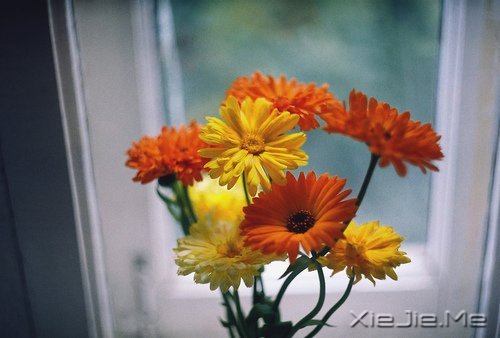 职场法则:职场新人要注意的20个小细节