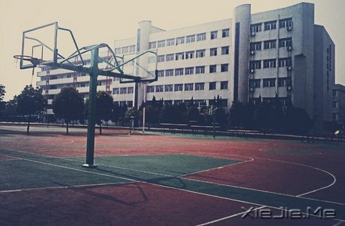 �ഺУ԰���£��ҵĴ�ѧ