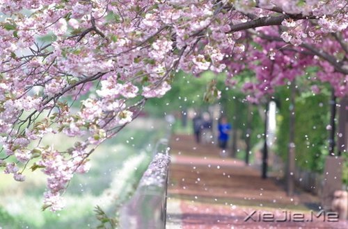 为喜欢自己的人而活着