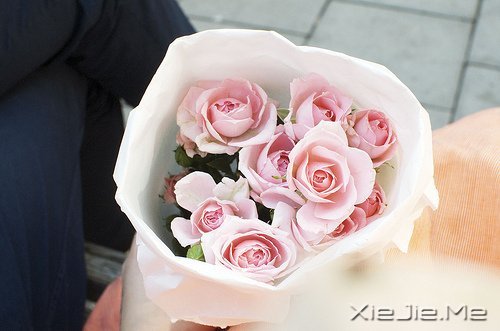 经典语录:输什么也不能输了心情 (1)