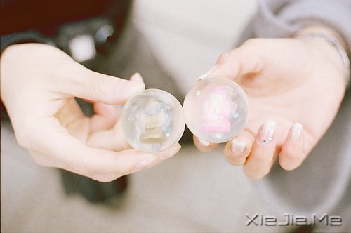 文字:让我们在最美的年华彼此遇见 (6)