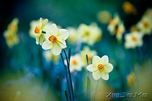 既然倒着走难受,就向前看吧