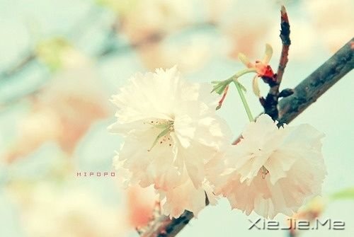 �����Ҹ���20��˲�� (2)