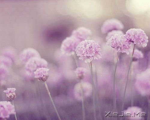 只要自己努力就好 (3)