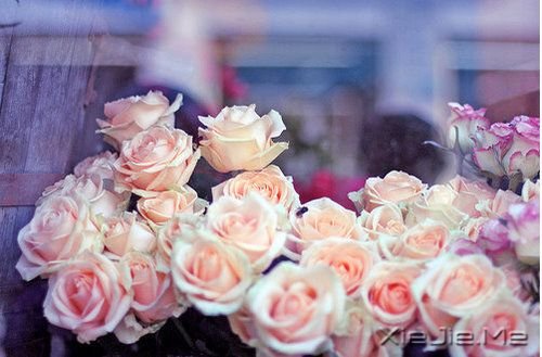 安静,一种淡淡的祥和 (6)