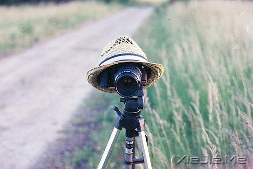 人生中该放弃的东西